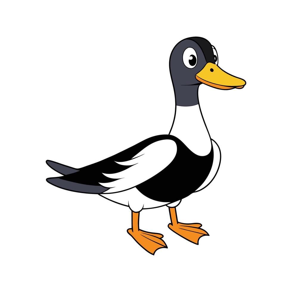 Color Illustration of Realistic Magpie Duck vector