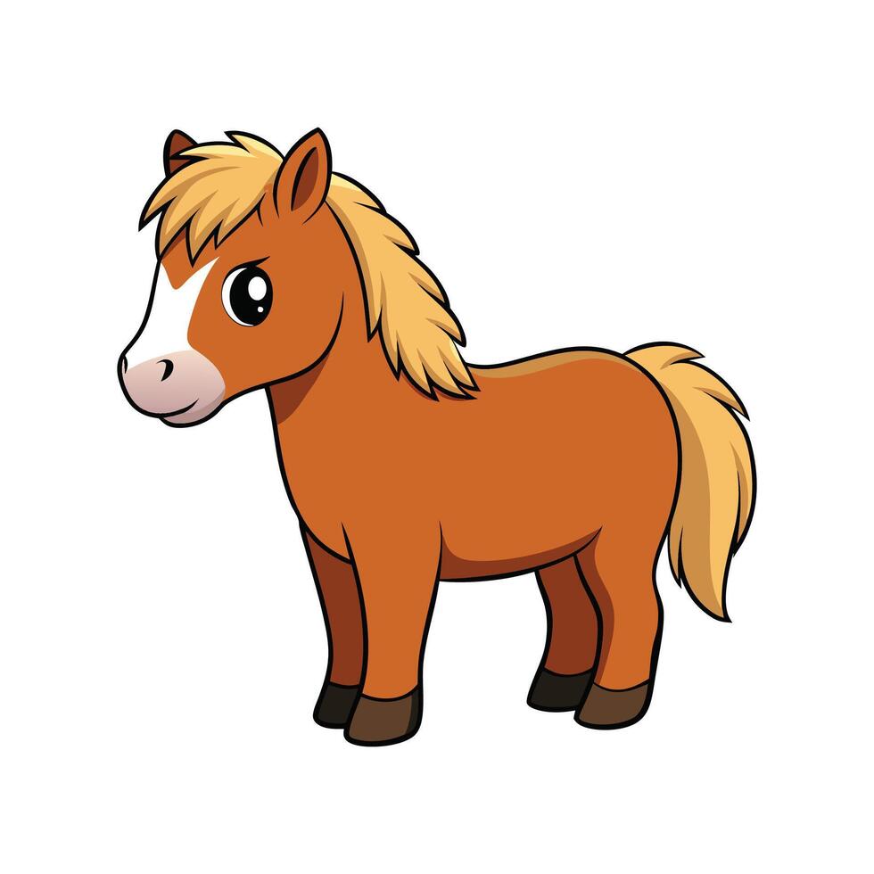 Realistic Color Illustration of Shetland Pony vector