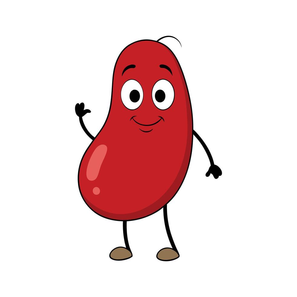 Yardlong Red Bean Fresh on White Background vector