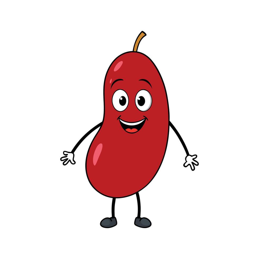 Fresh Yardlong Red Bean on White Background vector