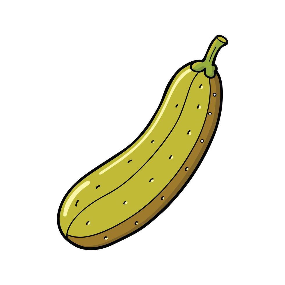 Vibrant Pickled Zha Cai Stem Isolated vector