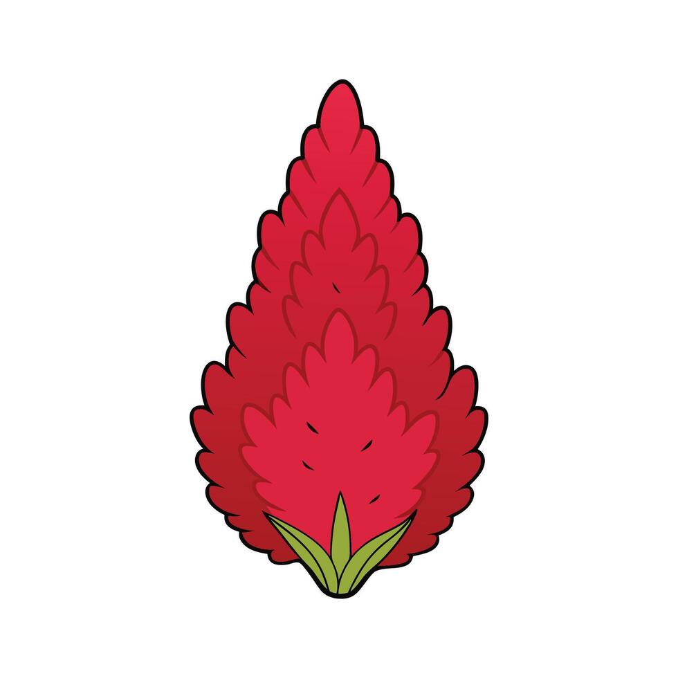 Crisp Amaranth Red Leaves Isolated vector