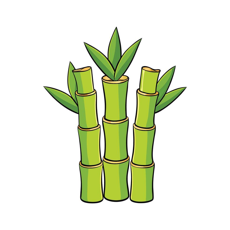 Isolated Tender Bamboo Shoots For Healthy Cooking vector