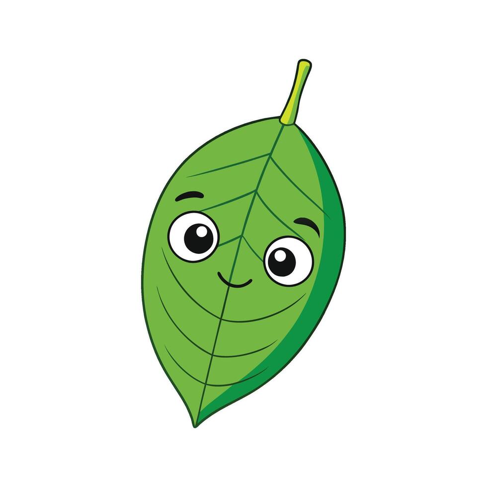 Fresh Betel Leaf Ideal For Flavoring vector