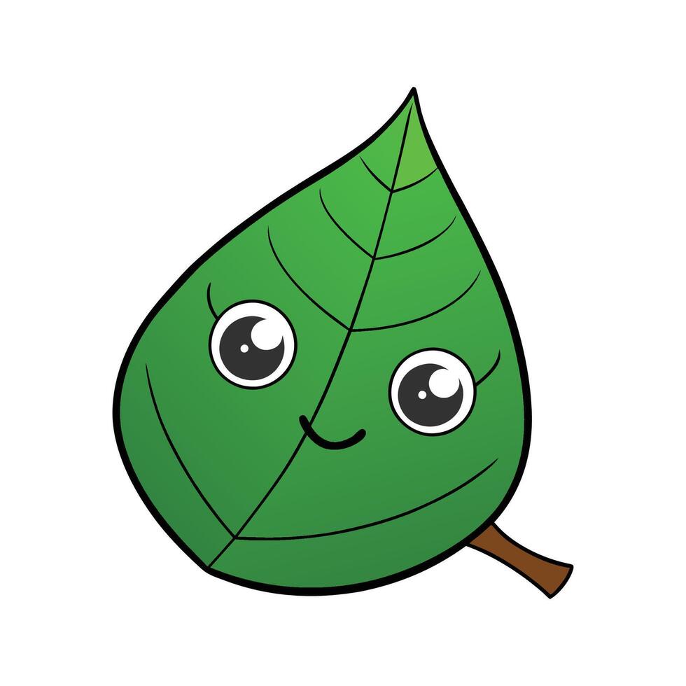 Fresh Betel Leaf Perfect For Flavoring vector