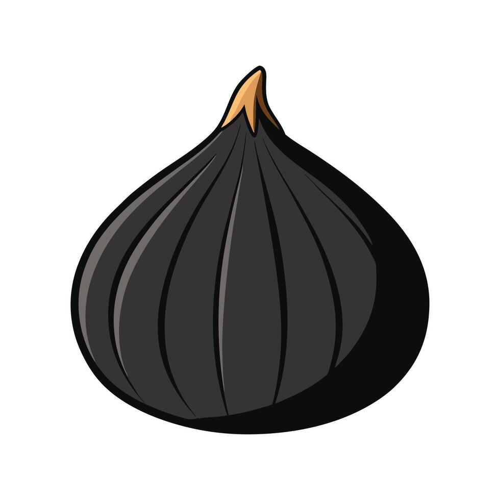 Nutritious Black Garlic For Culinary Use vector