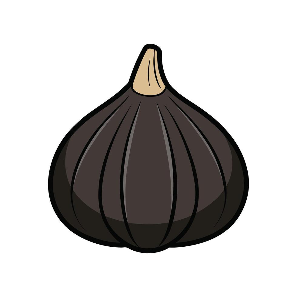Black Garlic Freshly Harvested For Dishes vector