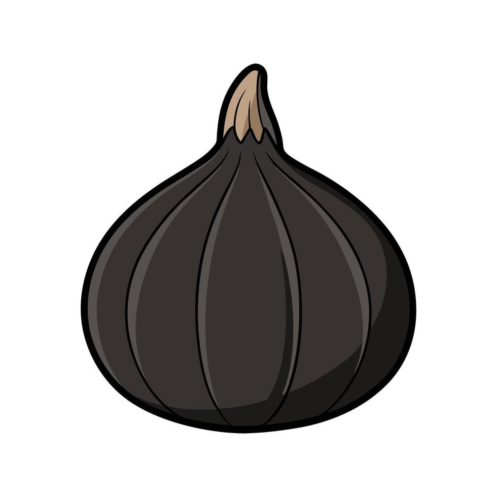 Isolated Black Garlic Perfect For Cooking vector