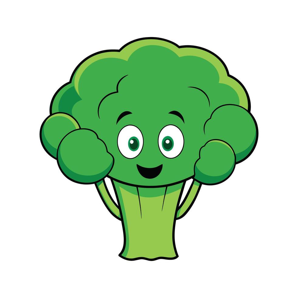 Nutritious Broccoli Romanesco Ideal For Cooking vector