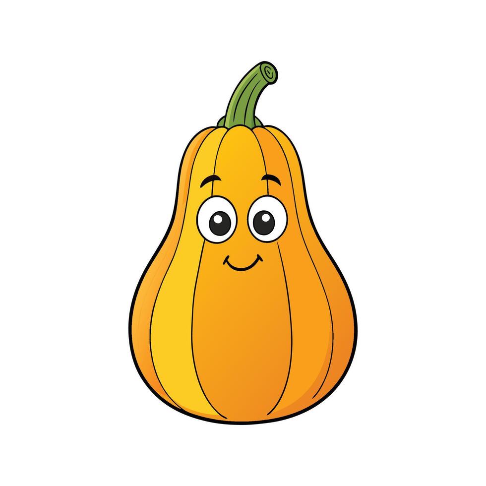 Fresh Buttercup Squash Ideal For Dishes vector