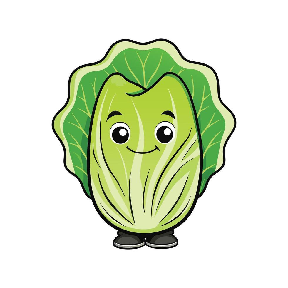 Napa Cabbage Isolated For Culinary Dishes vector