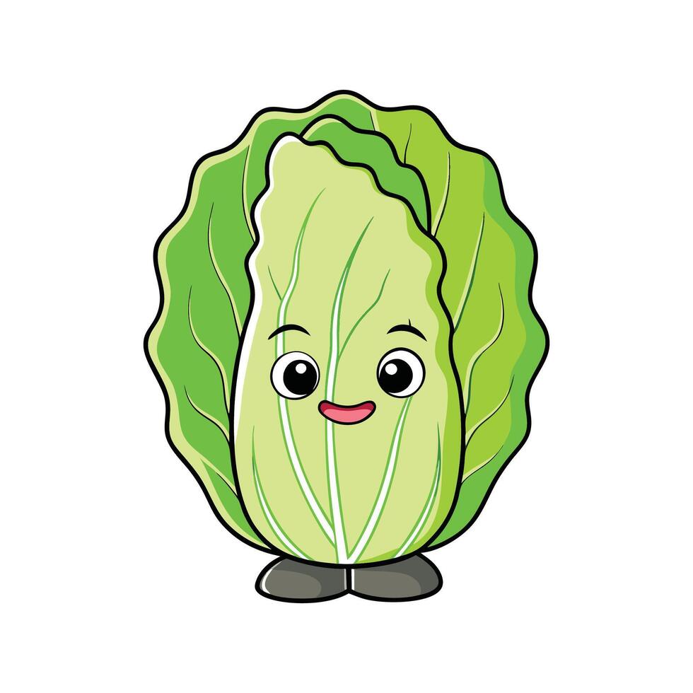 Nutritious Napa Cabbage Fresh For Cooking vector