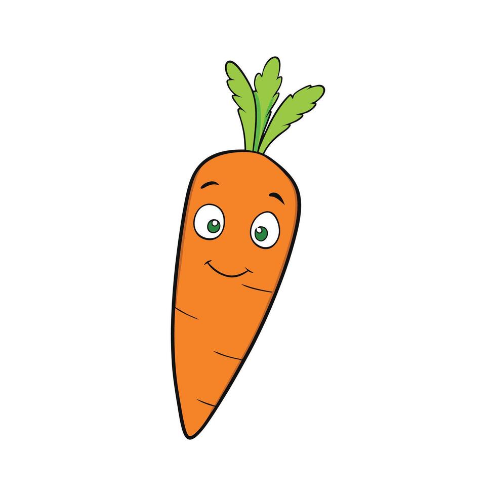 Nutritious Nantes Carrot Isolated For Cooking vector
