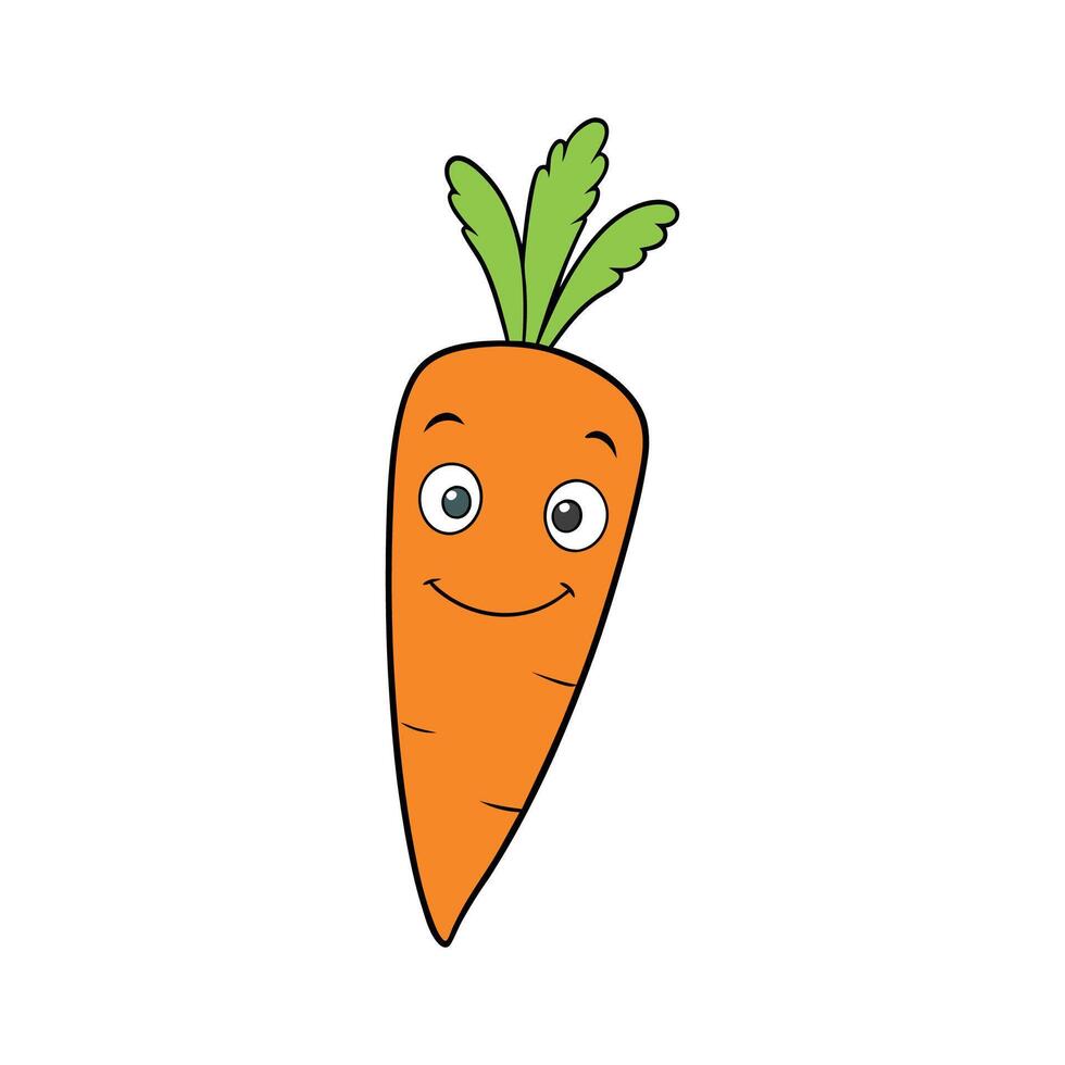 Nutritious Nantes Carrot Fresh For Cooking vector