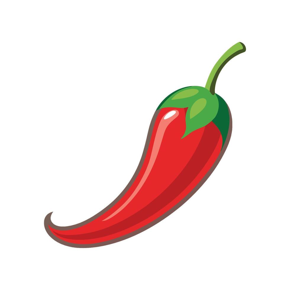 Fresh Jalapeno Chili Pepper Ideal For Cooking vector