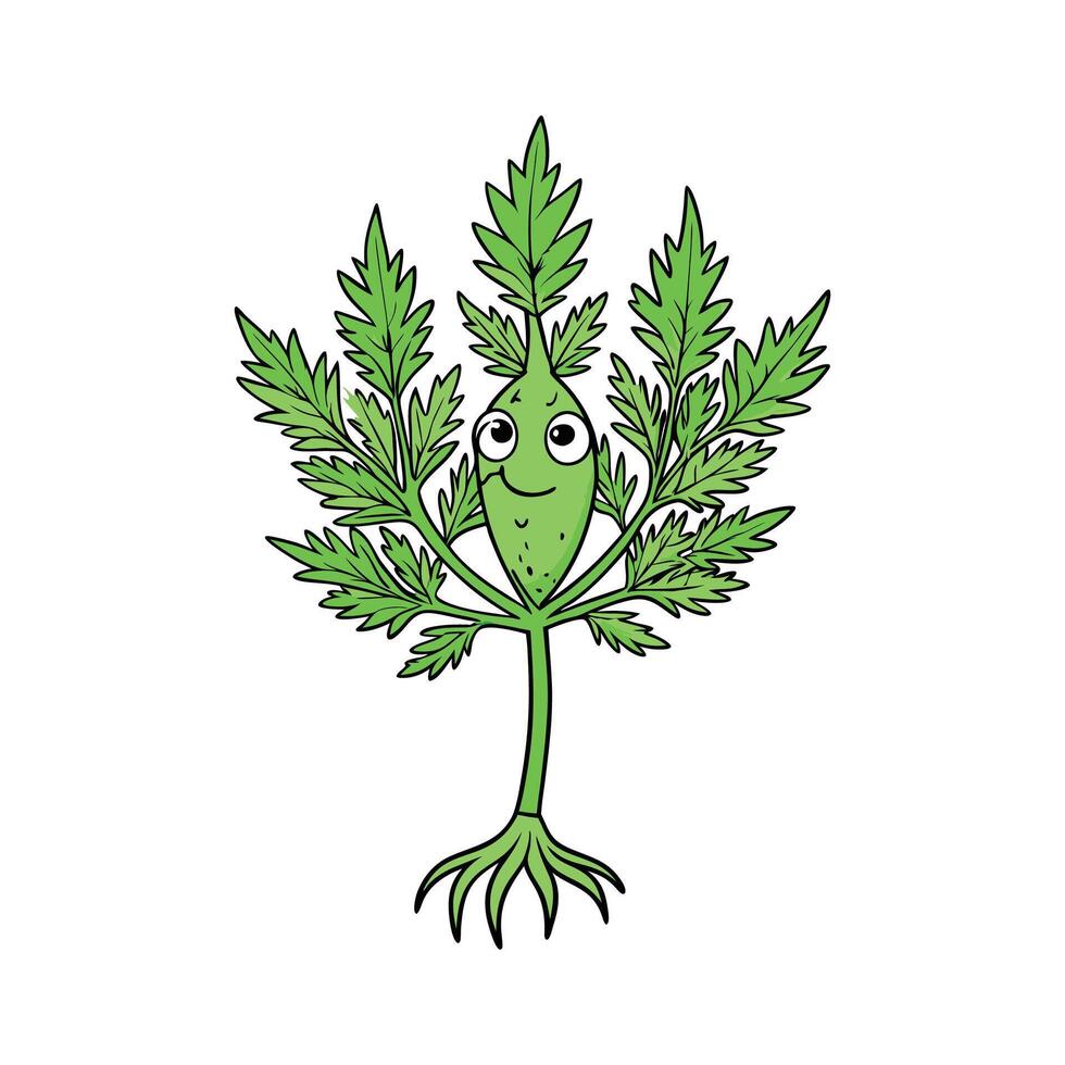Fresh Dill Weed Perfect For Cooking vector