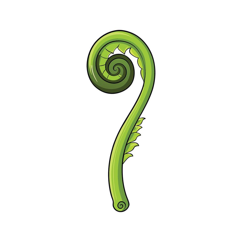 Fresh Fiddlehead Fern Ideal For Salads vector
