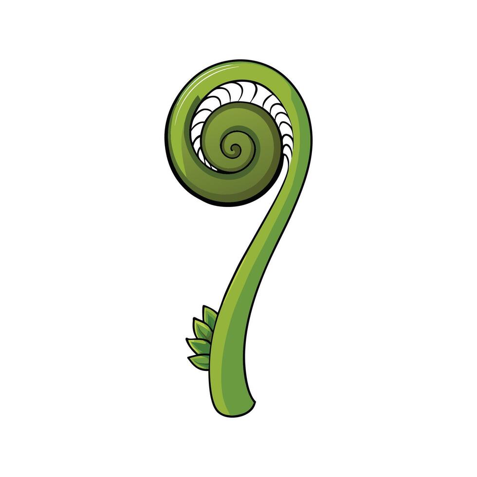 Isolated Fiddlehead Fern Great For Cooking vector