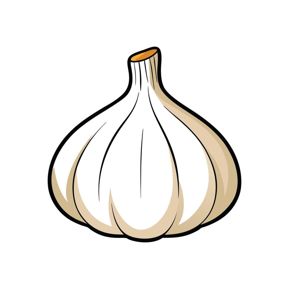 Nutritious Softneck Garlic Isolated vector