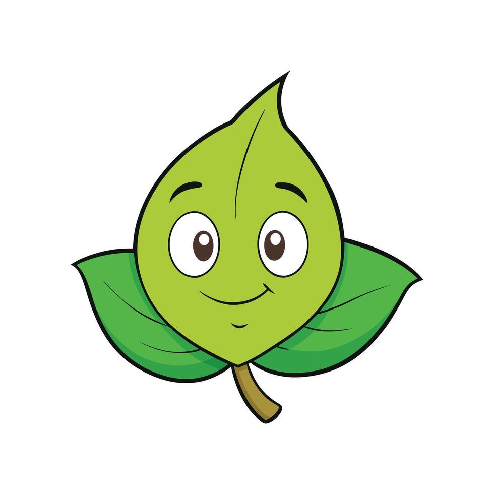 Grewia Leaf Fresh Ideal For Culinary Uses vector
