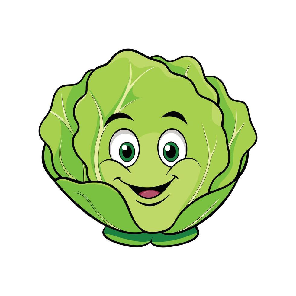 Fresh Iceberg Lettuce Ideal For Salads vector
