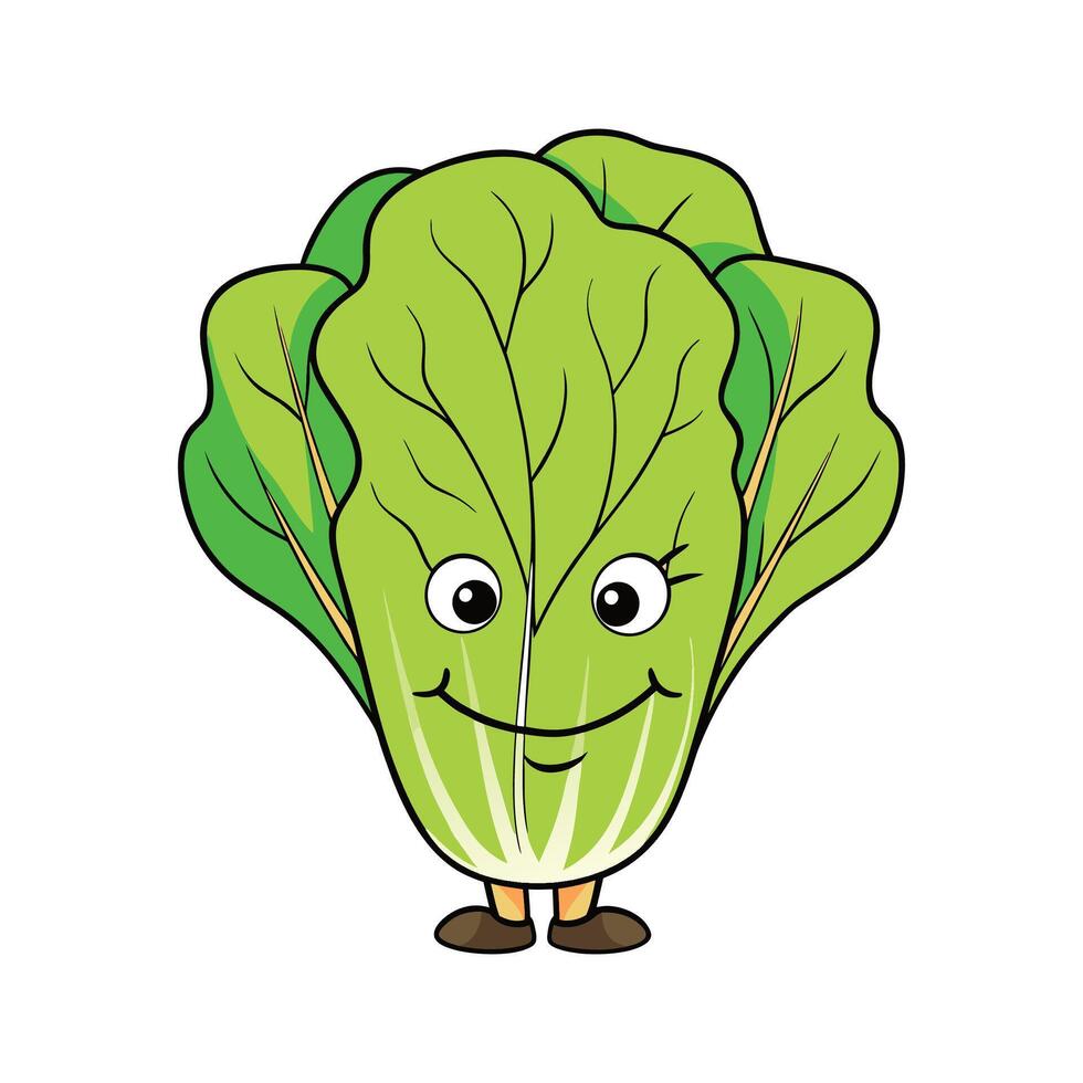 Fresh Romaine Lettuce Ideal For Salads vector