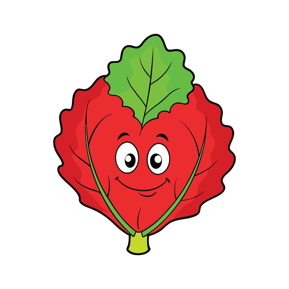 Red Leaf Lettuce Fresh Ideal For Culinary Uses vector