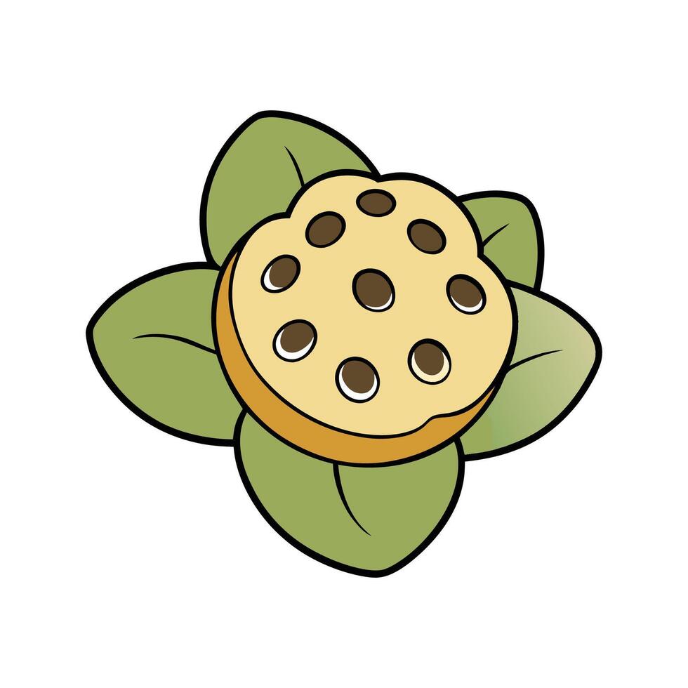 Isolated Lotus Root Great For Salads vector