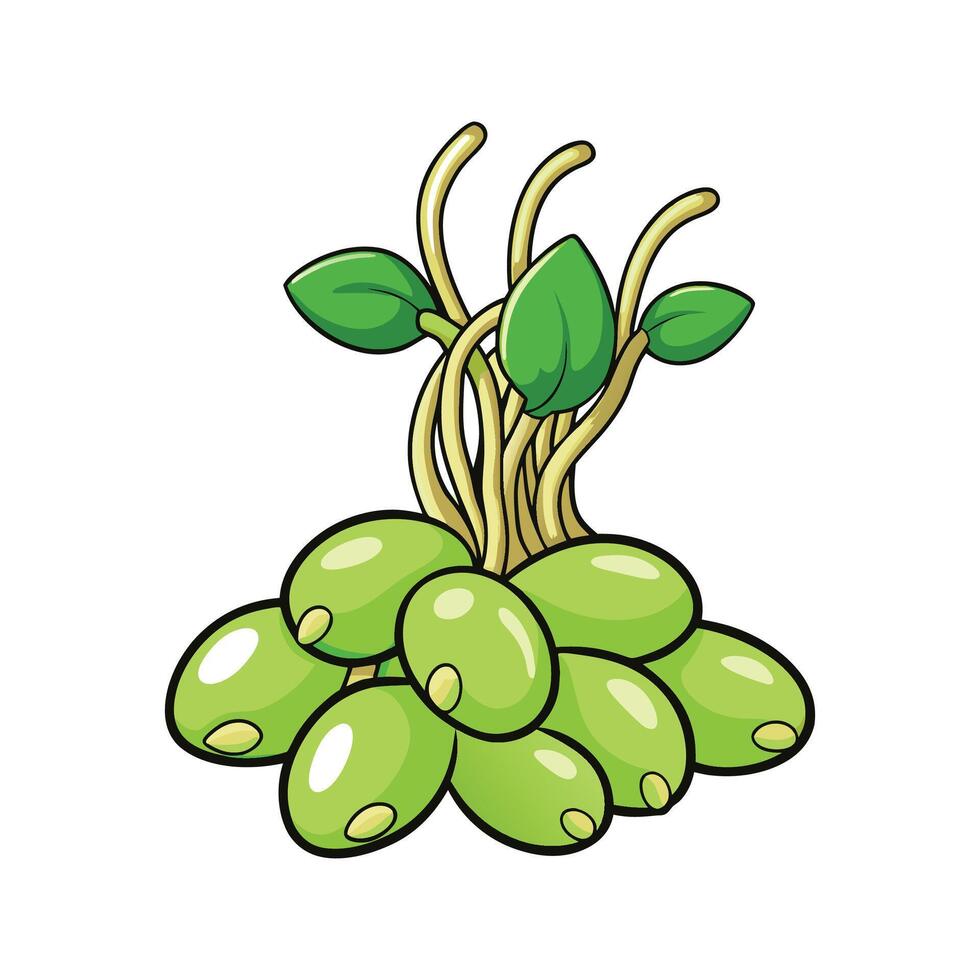 Mung Bean Sprouts Fresh Ideal For Culinary Uses vector