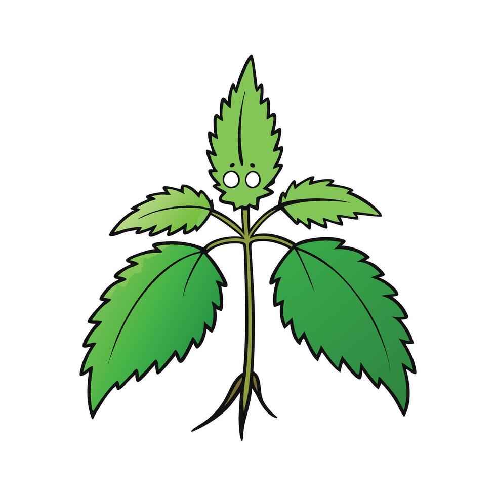 Nutritious Stinging Nettle Isolated vector