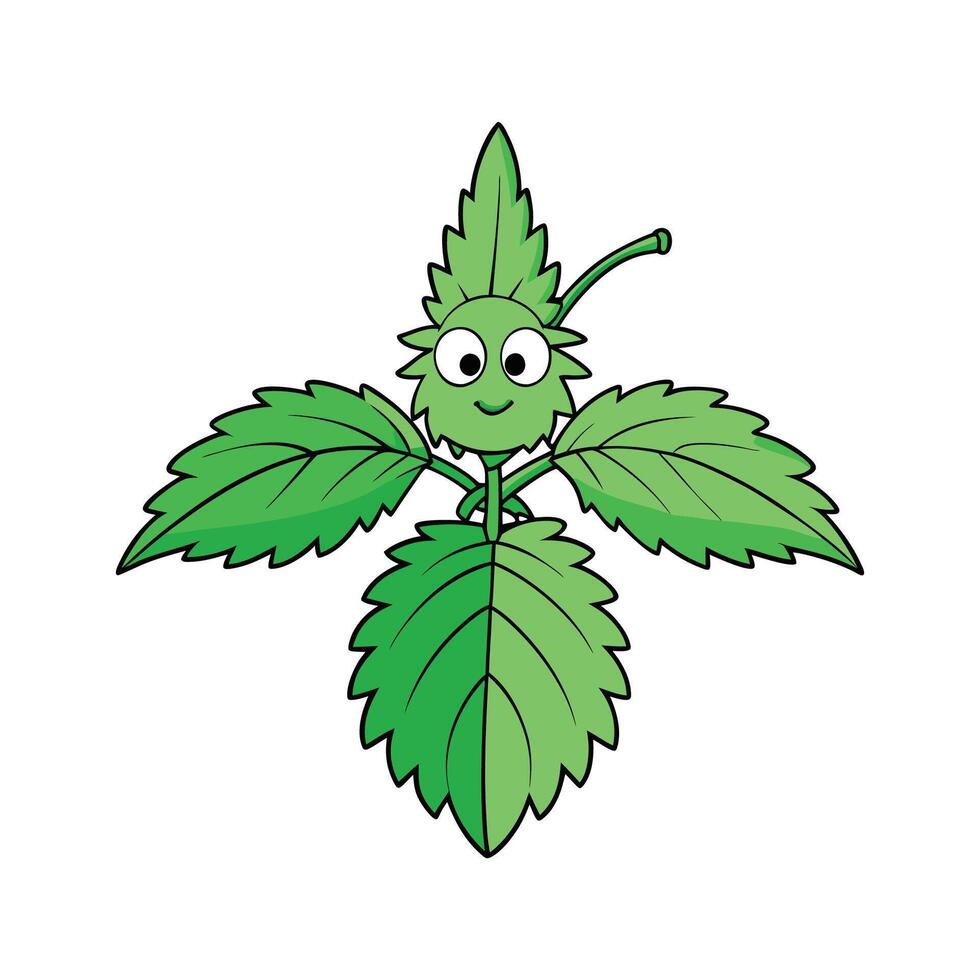 Isolated Stinging Nettle Great For Salads vector