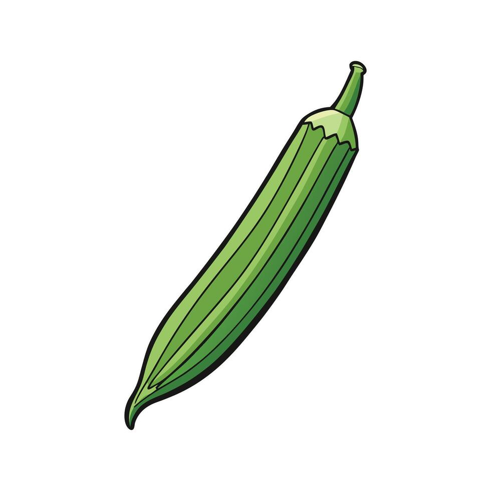 Clemson Spineless Okra on White Background vector