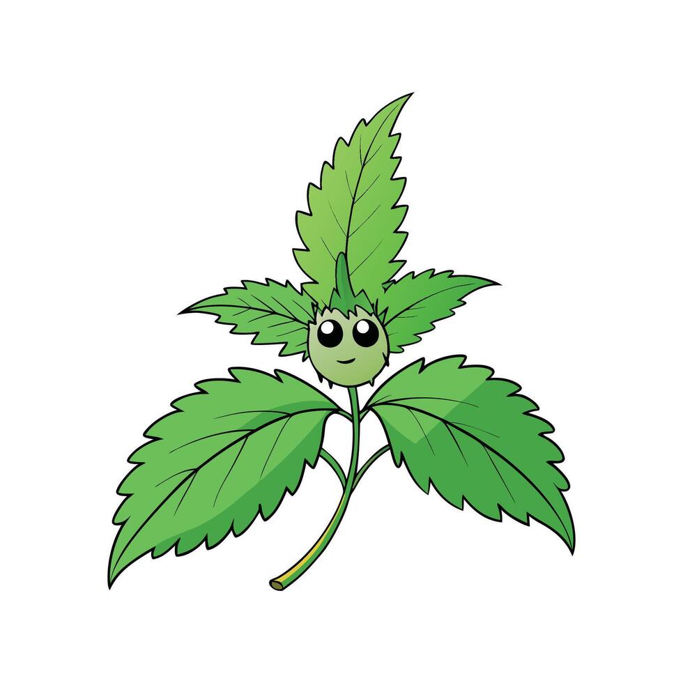 Stinging Nettle Fresh Ideal For Culinary Uses vector