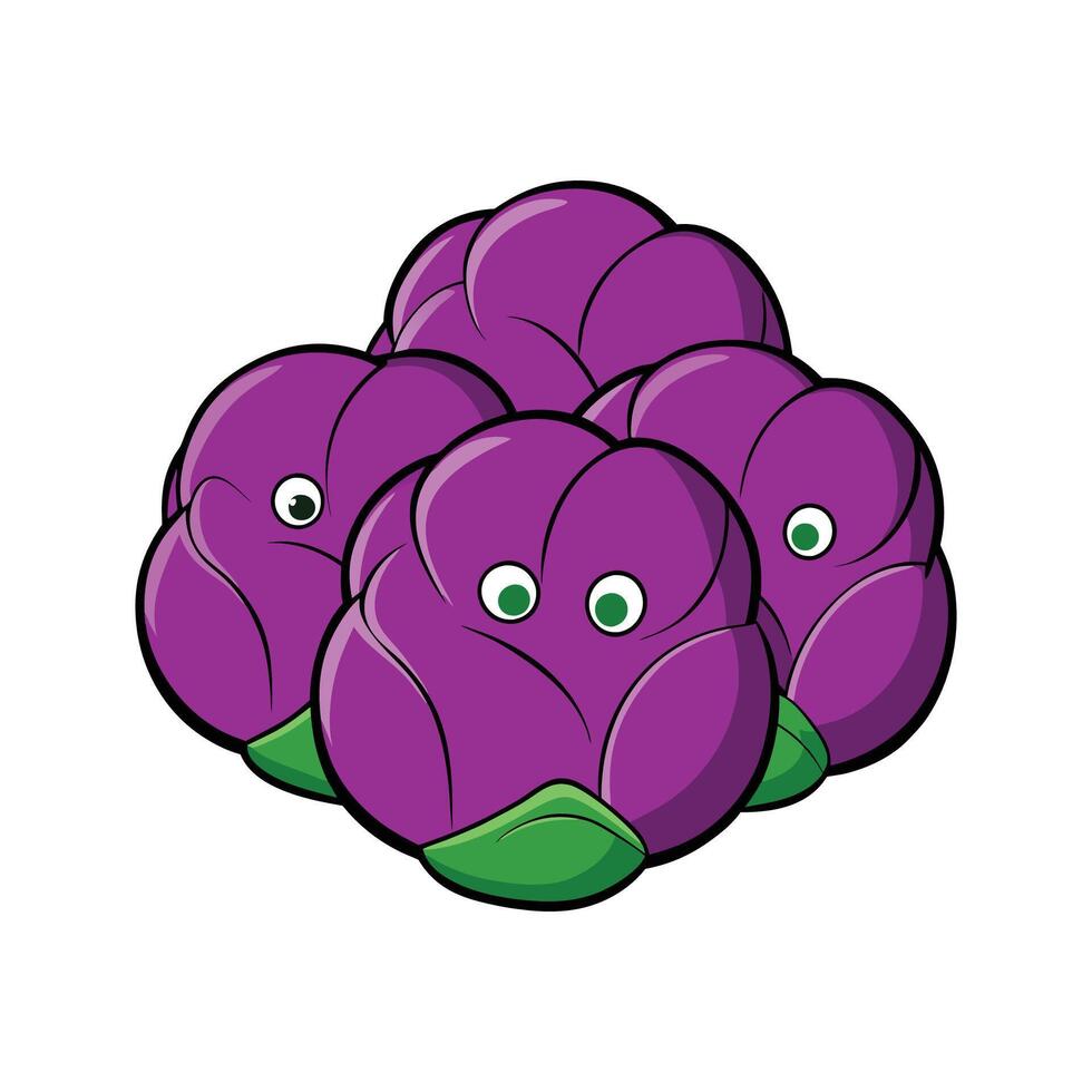 Bright Purple Brussels Sprouts on White vector