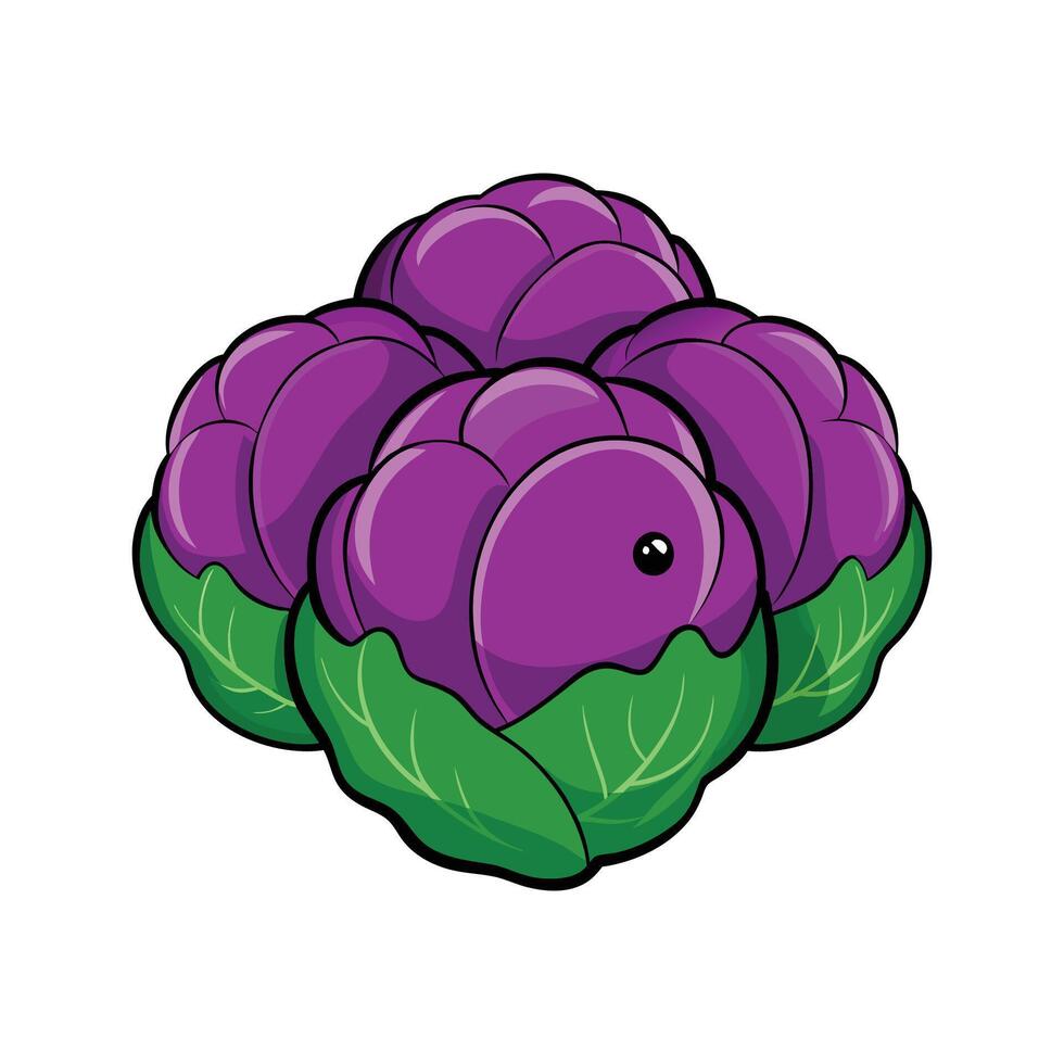 Vibrant Purple Brussels Sprouts on White Background vector