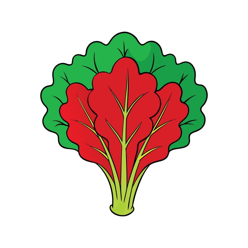 Vibrant Red Mustard Greens Isolated on White vector