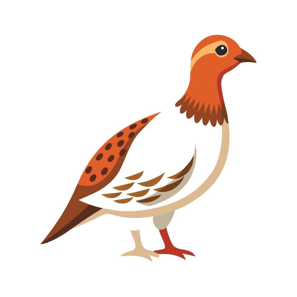 Willow Ptarmigan Artistic Illustration of Bird vector