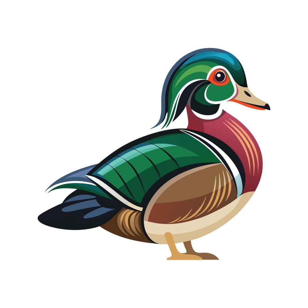 Wood Duck Bird Beautiful Artistic Illustration vector