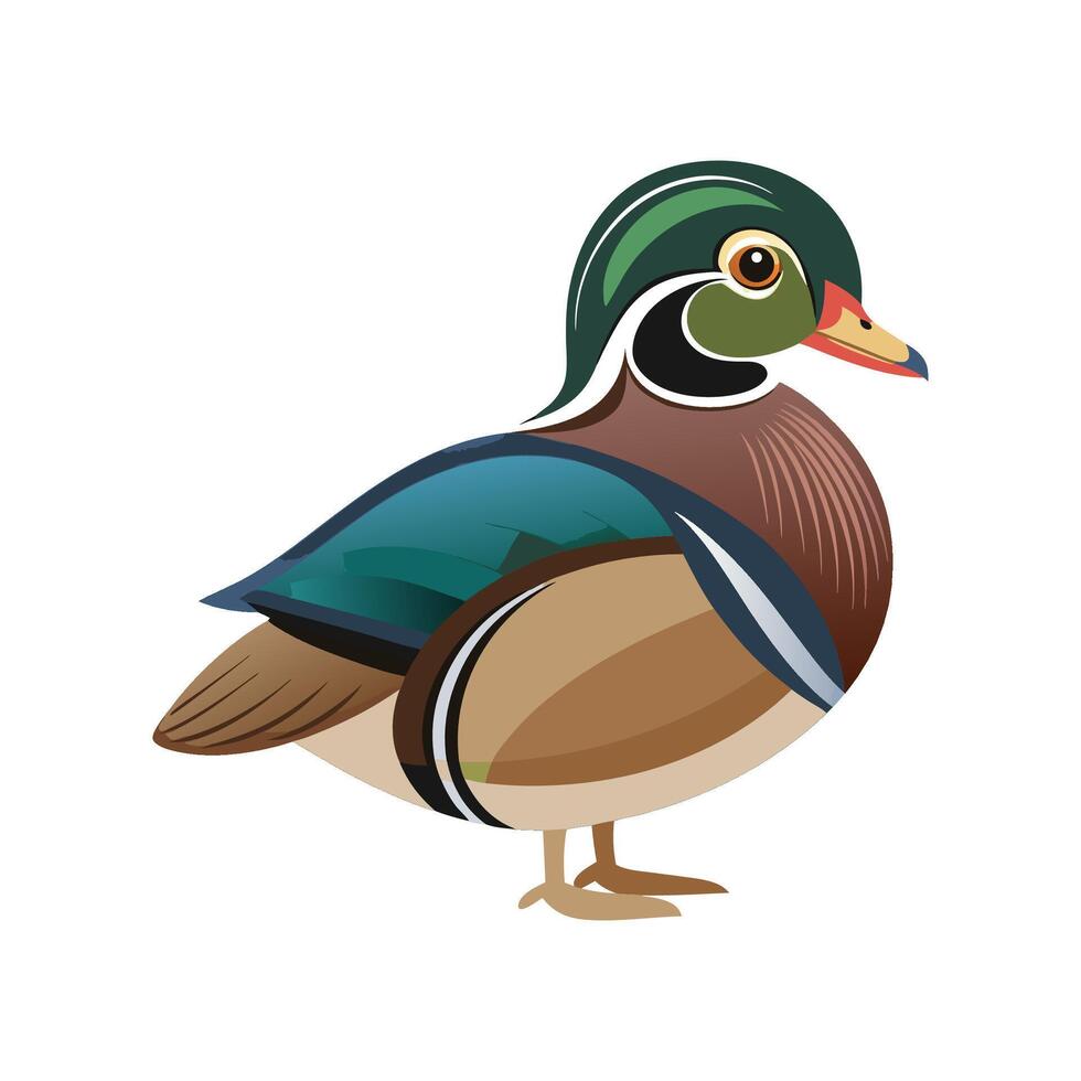 Vibrant Wood Duck Bird Artistic Design vector