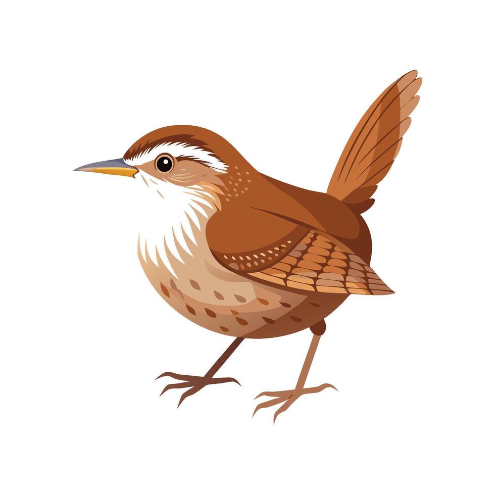 Wren Bird Unique Artistic Design Illustration vector