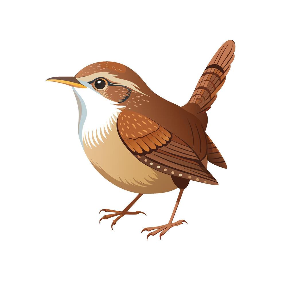 Wren Bird Beautiful Artistic Design Illustration vector