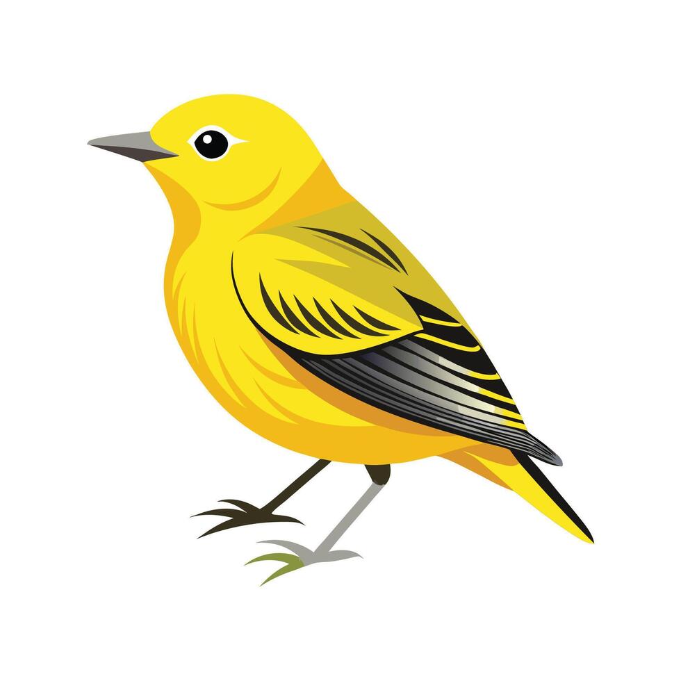 Yellow Warbler Beautiful Artistic Representation vector