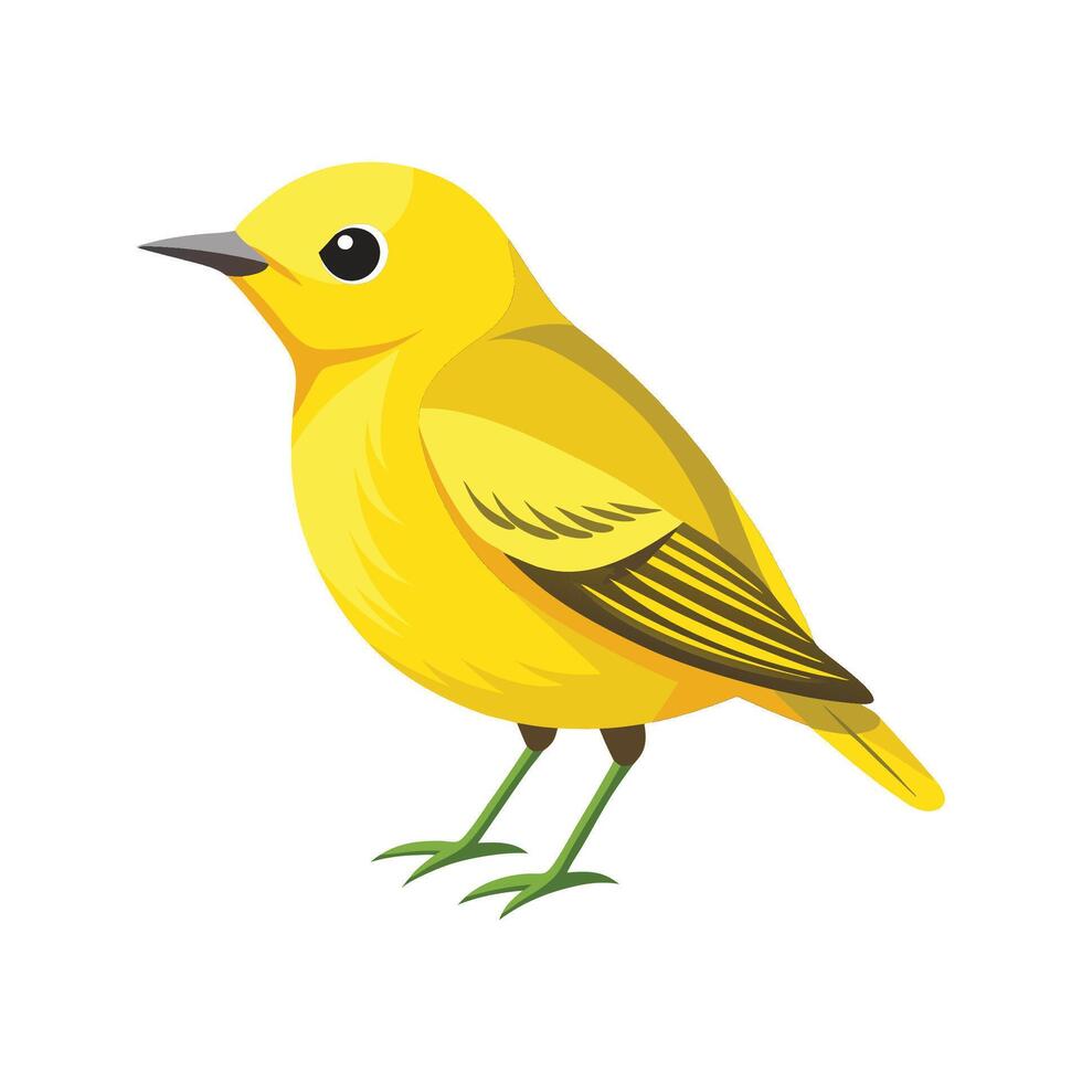 Yellow Warbler Unique Bird Design Illustration vector