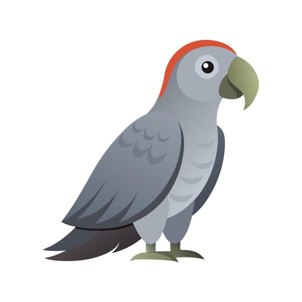 Stylish African Grey Parrot Graphic vector