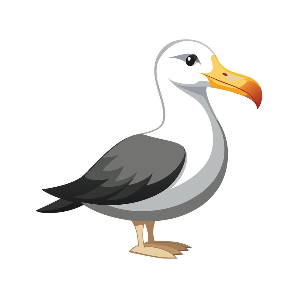 Beautiful Illustration of Albatross Bird vector