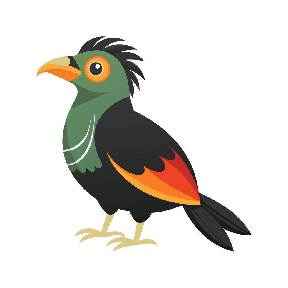 Stunning Illustration of Amazonian Umbrellabird vector