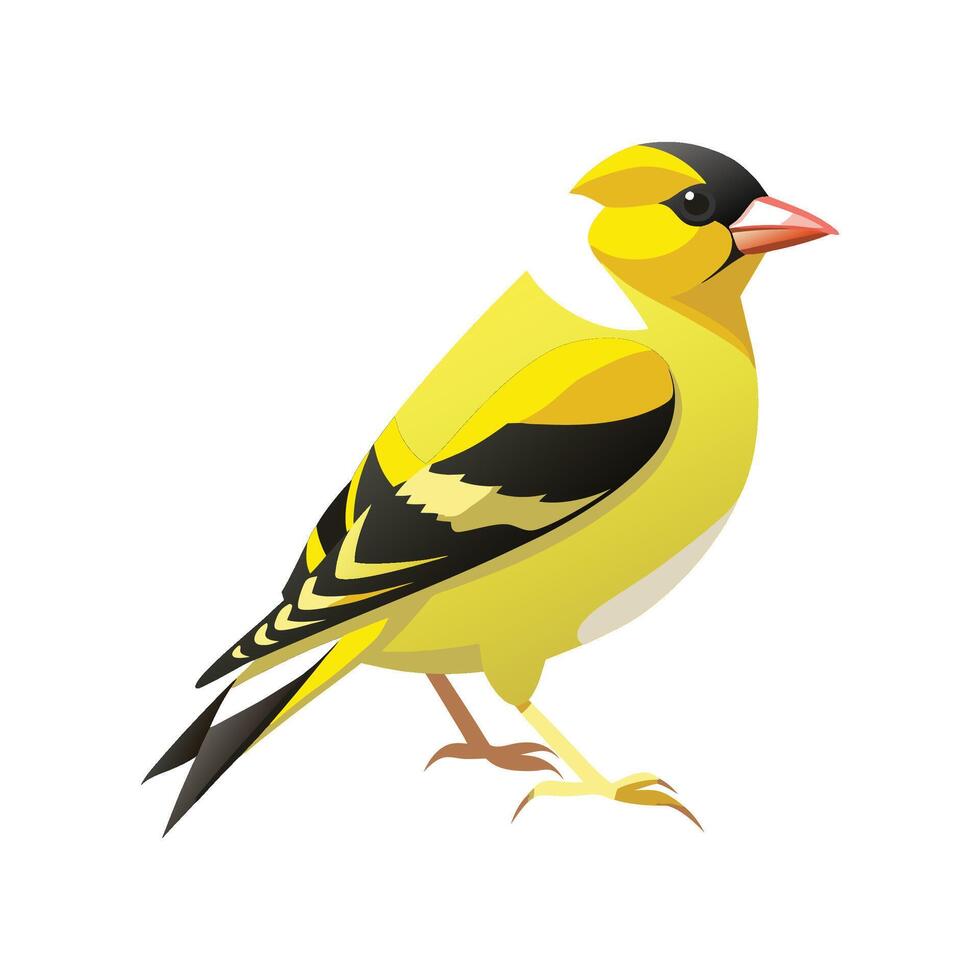 Elegant Illustration of American Goldfinch vector
