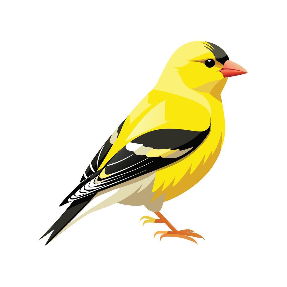 Unique Artwork of American Goldfinch vector