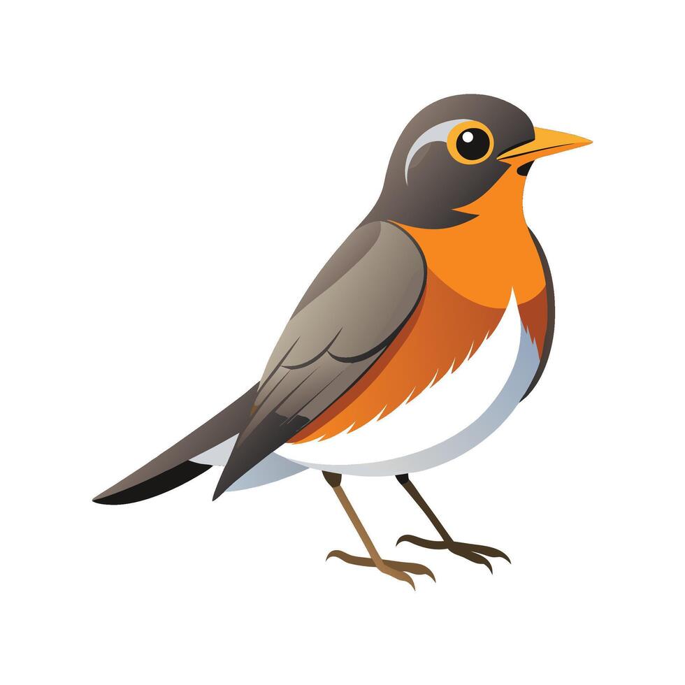 Stylish American Robin Graphic Artwork vector
