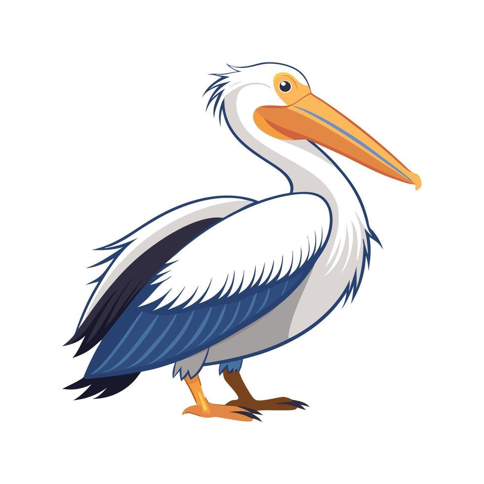 Unique American White Pelican vector